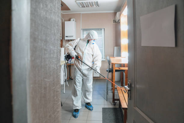 Best Indoor Air Quality Assessment  in Discovery Harbour, HI