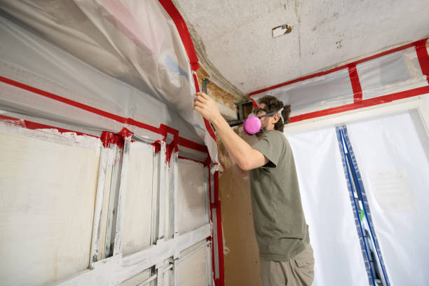 Best Industrial Mold Remediation  in Discovery Harbour, HI